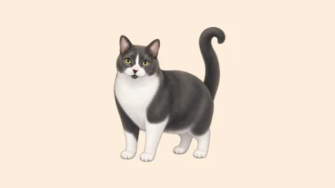 Watercolor illustration of Molly the Cat in a front-facing full-body pose